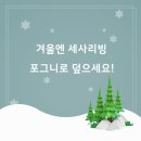 포그니이불 네이버블로그