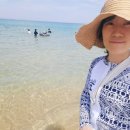 추암~증산해변 | 강원도 삼척 해수욕장 추암촛대바위 동해 증산해수욕장 이사부길