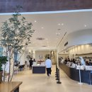 카페라임 이미지