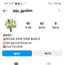 귤림청과