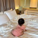 호텔에덴 | 이천 테르메덴 숙소 | 에덴파라다이스 호텔 아기랑 방문후기