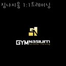 짐나지움 이미지