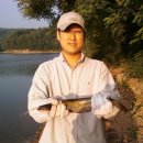 목골중 이미지