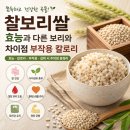 청맥식품 - 남양주시 | 찰보리쌀 효능 다른 보리와 차이점 부작용 총정리