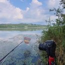 남한강낚시 이미지