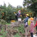 표선면-4 이미지