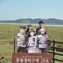 서천 신성리갈대밭 가을바람 솔솔