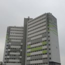 춘천우두LH천년나무1단지 네이버블로그