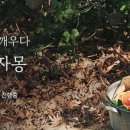 빵글마켓 이미지