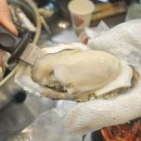 친구친구 | 왕십리역 굴찜 해산물 맛집 친구친구실내포차 후기 (굴찜, 갑오징어초무침)