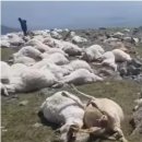 천둥축산 이미지