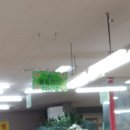 홍동화원