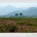 송숙농장 이미지