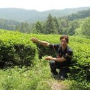 이집이야 이미지