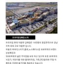 김해 롯데 아울렛 방문 후기