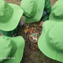 고양시립 문촌9 사회복지관 어린이집 | 2026,5월) 짹짹 새 집을 만들고 꼬물꼬물 애벌레랑 놀아요
