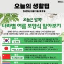 태국공인중개사사무소 네이버블로그