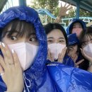경주통닭 이미지