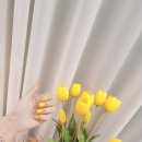 온도네일 이미지