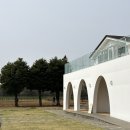 두화목장 | 두돌 아기와 제주도 여행 #2 서귀포 표선 승마체험 먹이주기 카페 추천 / 목장카페 밭디 후기