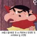 파리바게뜨 동아대병원점 | #1월 인생은 선택의 연속