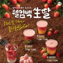 쥬씨 이미지
