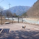 상동1교 이미지