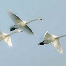 남강공원 이미지