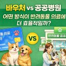 담양군 반려유기동물 공공진료소 | 바우처 vs 공공병원, 어떤 방식이 반려동물 의료에 더 효율적일까?