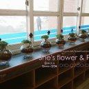 대구중리초등학교 이미지