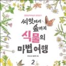 씨앗과 숲