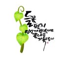 요거팡 네이버블로그