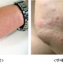 부산광역시중구보건소 이미지