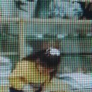 예송유치원 이미지