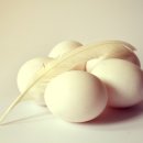 아동미술지도사 자격증 이미지