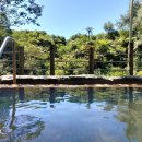 온천호텔 이미지