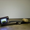 한국비디오 이미지