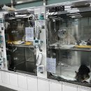 대신동물병원 이미지