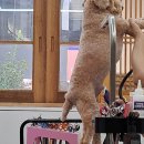 몽끄베르 이미지