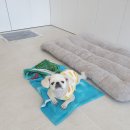 어서왈왈 이미지