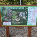 다리안민박 이미지