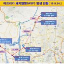 아프리카 - 경산시 | 아프리카