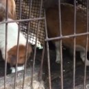 마땅농장 이미지