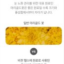 헬스비젼 이미지