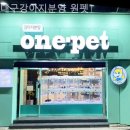 대구강아지분양 원펫 | 대구강아지분양 대구강아지분양 원펫 안전하고 건강한 환경