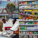 미키애견 | 다이소 강아지 출입 장난감 애견용품 함께 쇼핑해요