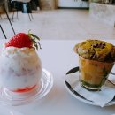 더블유티피 이미지