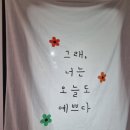 쉘모아 이미지