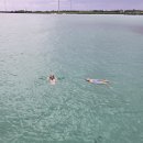 하도바다 | 🌊 제주 동쪽 바다수영 &amp; 스노클링 후기 (김녕 세화 하도 수온, 현황 6월기준)