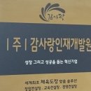 감사랑스포렉스